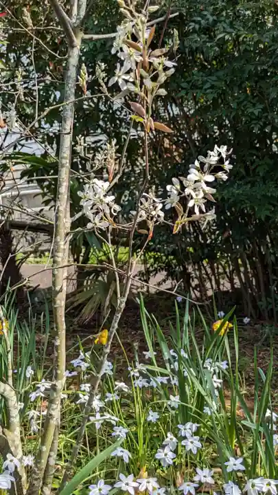 横浜御嶽神社(神奈川県)