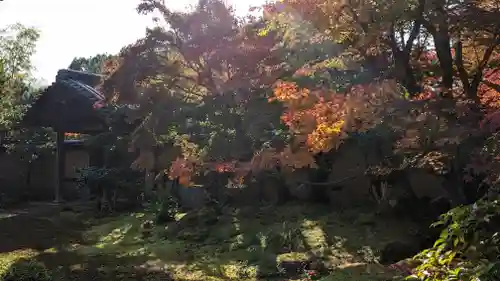 清凉寺(京都府)