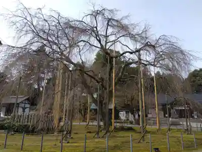 足羽神社(福井県)