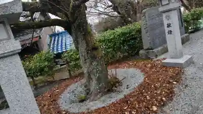 出雲大神宮(京都府)