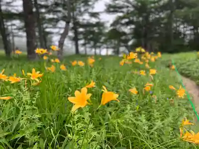 山の神神社(長野県)
