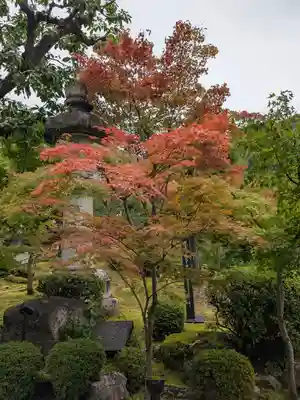 禅林寺(永観堂)(京都府)
