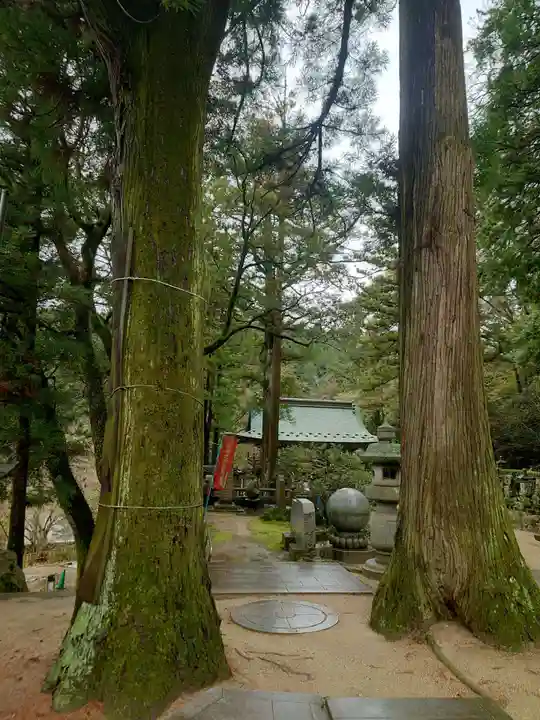 大窪寺(香川県)