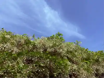 松應寺(愛知県)