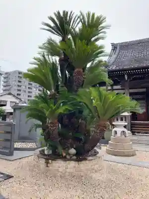 善西寺(三重県)