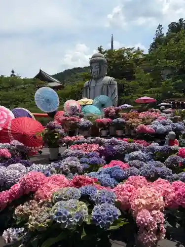 南法華寺（壷阪寺）(奈良県)