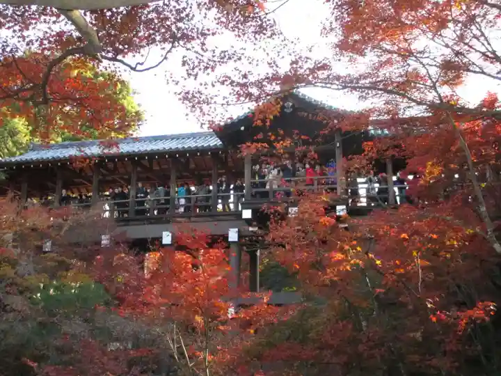 東福禅寺(東福寺)(京都府)