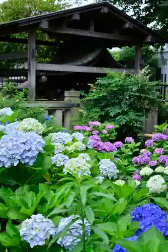 白山神社(東京都)