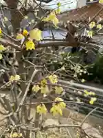 常真寺(千葉県)