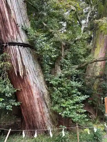 香取神宮(千葉県)