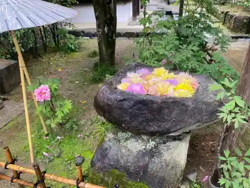 岡寺（龍蓋寺）の{uncategorized: "未分類", other: "その他", undefined: "問題あり", building: "その他建物", grave: "お墓", sacred_gate: "鳥居", guardian: "狛犬", statue: "像", buddha: "仏像", history: "歴史", nature: "自然", garden: "庭園", animal: "動物", pagoda: "塔", temizu: "手水舎", mountain_gate: "山門・神門", sanctuary: "本殿・本堂", subordinate: "末社・摂社", art: "芸術", scenery: "景色", jizo: "地蔵", ema: "絵馬", goshuin: "御朱印", omikuji: "おみくじ", items: "授与品その他", amulet: "お守り", goshuincho: "御朱印帳", eats: "食事", festival: "お祭り", votive_dance: "神楽", shichigosan: "七五三参", wedding: "結婚式", experience: "体験その他", initially: "初詣", around: "周辺", anti_infection: "感染症対策"}