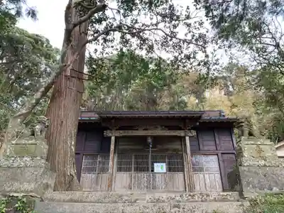 日枝神社の本殿・本堂
