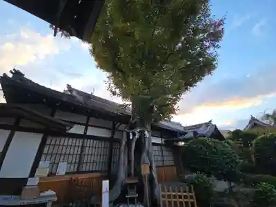 三輪坐恵比須神社(奈良県)