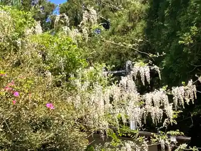 大山祇神社(福岡県)