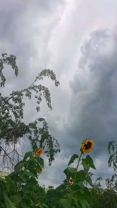 矢合観音の景色