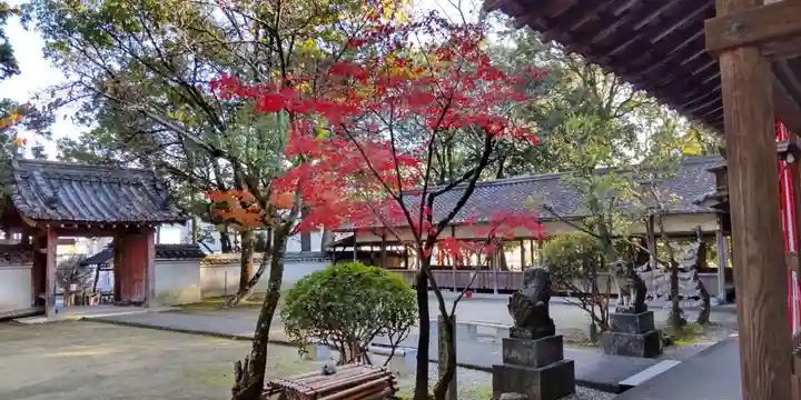 相楽神社(京都府)