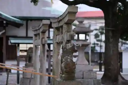 泉穴師神社の鳥居