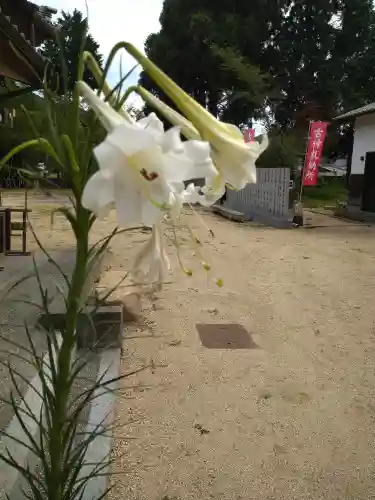 日本第一熊野神社の自然