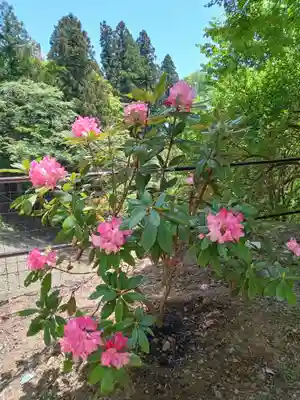正法寺(滋賀県)