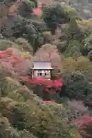 大悲閣千光寺(京都府)
