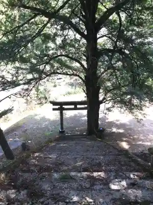 一護王社の{uncategorized: "未分類", other: "その他", undefined: "問題あり", building: "その他建物", grave: "お墓", sacred_gate: "鳥居", guardian: "狛犬", statue: "像", buddha: "仏像", history: "歴史", nature: "自然", garden: "庭園", animal: "動物", pagoda: "塔", temizu: "手水舎", mountain_gate: "山門・神門", sanctuary: "本殿・本堂", subordinate: "末社・摂社", art: "芸術", scenery: "景色", jizo: "地蔵", ema: "絵馬", goshuin: "御朱印", omikuji: "おみくじ", items: "授与品その他", amulet: "お守り", goshuincho: "御朱印帳", eats: "食事", festival: "お祭り", votive_dance: "神楽", shichigosan: "七五三参", wedding: "結婚式", experience: "体験その他", initially: "初詣", around: "周辺", anti_infection: "感染症対策"}