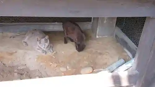 妙雲寺(岐阜県)