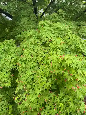 東寺（教王護国寺）(京都府)