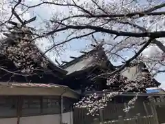 住吉神社(兵庫県)