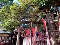 楠珺社(住吉大社末社)(大阪府)