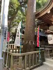 八百富神社の自然