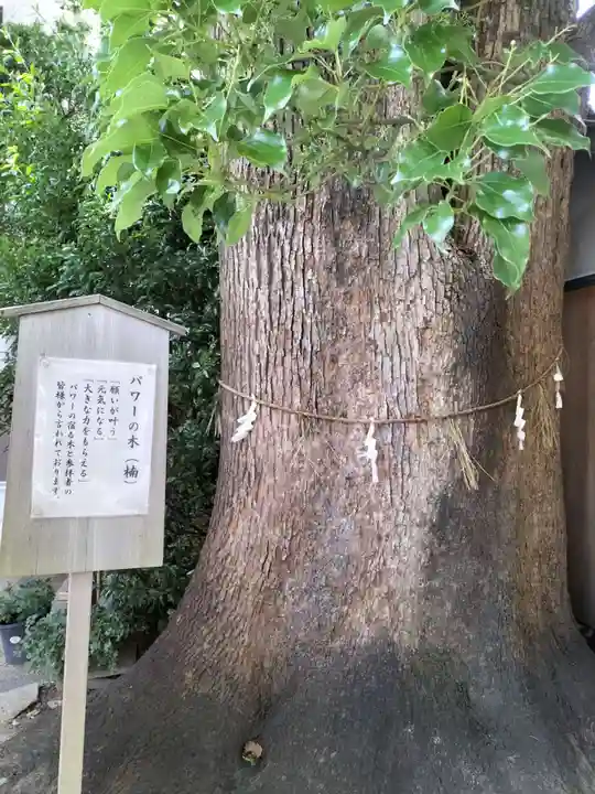 菅生神社(愛知県)