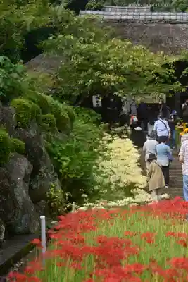 横浜　西方寺(神奈川県)