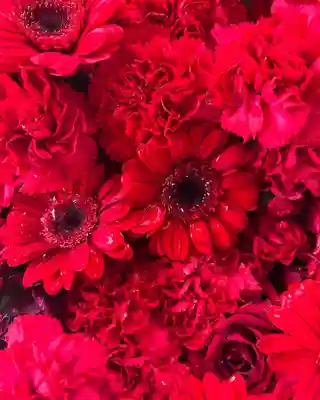 札幌諏訪神社の手水舎