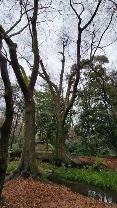 賀茂御祖神社(下鴨神社)(京都府)