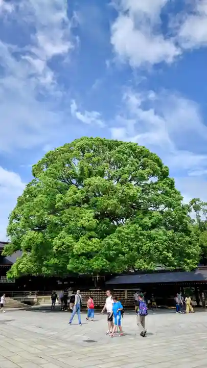 明治神宮(東京都)