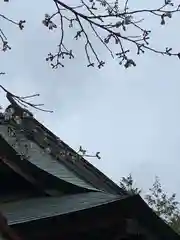 滑川神社 - 仕事と子どもの守り神の自然