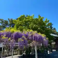 白鷺神社の庭園