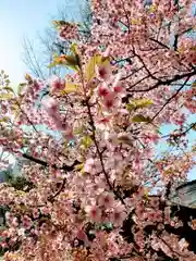 小野照崎神社の自然
