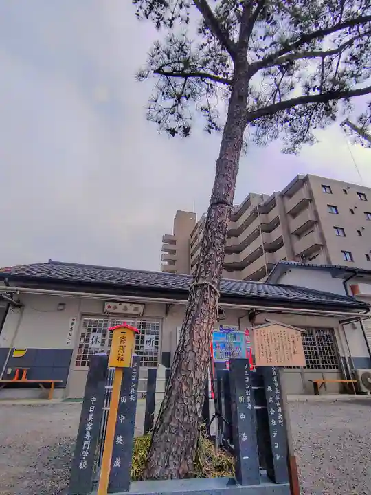 別小江神社の自然