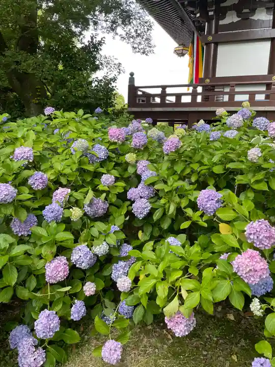 智積院(京都府)