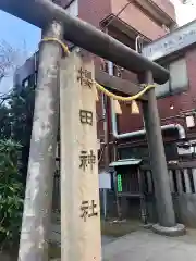 櫻田神社の鳥居