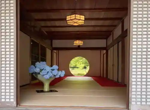 明月院(神奈川県)