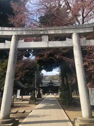 東村山八坂神社の鳥居