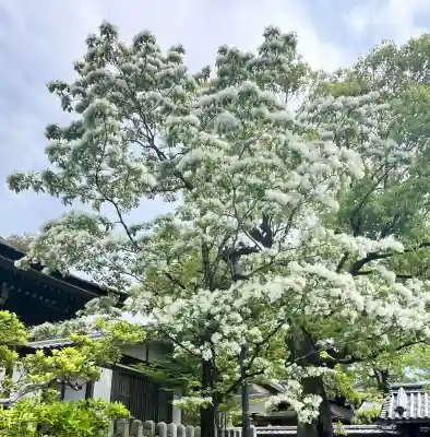 伏見稲荷大社の{uncategorized: "未分類", other: "その他", undefined: "問題あり", building: "その他建物", grave: "お墓", sacred_gate: "鳥居", guardian: "狛犬", statue: "像", buddha: "仏像", history: "歴史", nature: "自然", garden: "庭園", animal: "動物", pagoda: "塔", temizu: "手水舎", mountain_gate: "山門・神門", sanctuary: "本殿・本堂", subordinate: "末社・摂社", art: "芸術", scenery: "景色", jizo: "地蔵", ema: "絵馬", goshuin: "御朱印", omikuji: "おみくじ", items: "授与品その他", amulet: "お守り", goshuincho: "御朱印帳", eats: "食事", festival: "お祭り", votive_dance: "神楽", shichigosan: "七五三参", wedding: "結婚式", experience: "体験その他", initially: "初詣", around: "周辺", anti_infection: "感染症対策"}