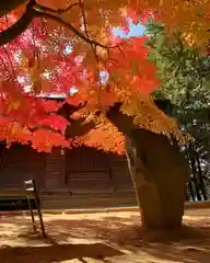 滑川神社 - 仕事と子どもの守り神(福島県)