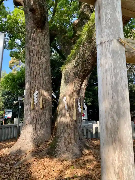 冠纓神社(香川県)