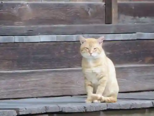 智恩寺(京都府)