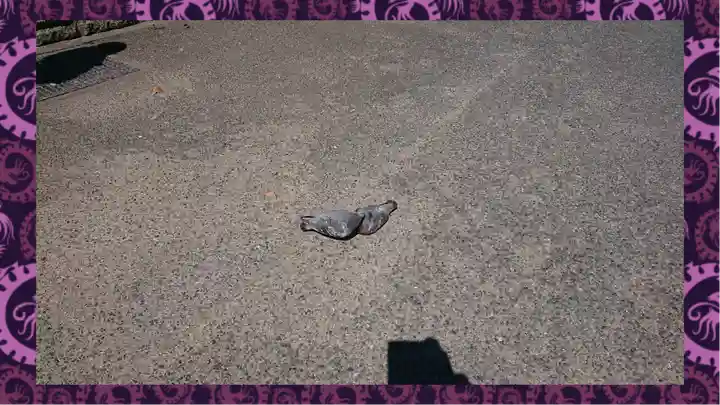 浅草寺(東京都)