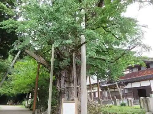上日寺(富山県)