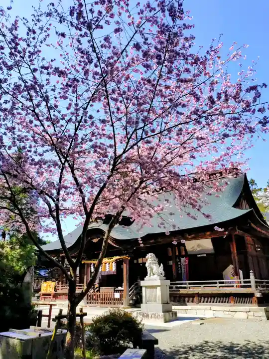 甲斐國一宮 浅間神社(山梨県)